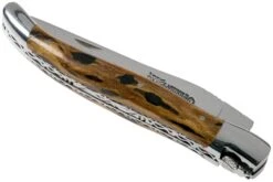 Laguiole En Aubrac 12cm Double Plates, Cactus Poncé Main, L0712CA51-FSI1 -Optimal Couteaux Magasin AUL0712CA51 FSI1 04 laguiole en aubrac v202010