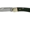 Buck 110 Folding Hunter