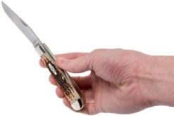 Case Trapper Amber Jigged Bone, 00163, 6254 CV Couteau De Poche -Optimal Couteaux Magasin CE163 09 case ce163 09