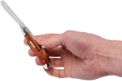 Case Mini Trapper Smooth Chestnut Bone, 28700, 6207 SS Couteau De Poche -Optimal Couteaux Magasin CE28700 09 case ce28700 09