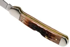 Case Mini Copperlock Brown Bone, Peach Seed Jig, 42655, 61749L SS Couteau De Poche -Optimal Couteaux Magasin CE42655 04 case