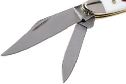 Case Peanut Sparxx White Synthetic, 60188, 6220 SS Couteau De Poche -Optimal Couteaux Magasin CE60188 04 case ce60188 04