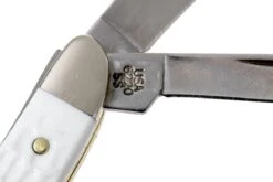 Case Peanut Sparxx White Synthetic, 60188, 6220 SS Couteau De Poche -Optimal Couteaux Magasin CE60188 07 case ce60188 07