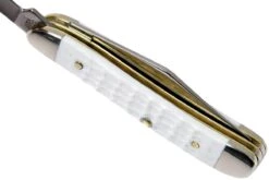 Case Peanut Sparxx White Synthetic, 60188, 6220 SS Couteau De Poche -Optimal Couteaux Magasin CE60188 08 case ce60188 08