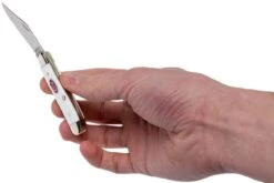 Case Peanut Sparxx White Synthetic, 60188, 6220 SS Couteau De Poche -Optimal Couteaux Magasin CE60188 10 case ce60188 10