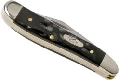 Case Peanut Jigged Buffalo Horn 65014, BH220 SS Couteau De Poche -Optimal Couteaux Magasin CE65014 04 case