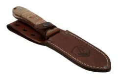 Condor Tactical P.A.S.S. Chute Knife, Couteau Fixe 11 Condor Tactical P.A.S.S. Chute Knife, Couteau Fixe -Optimal Couteaux Magasin CTK1827 105 4C 06 condor