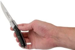 Le Thiers Pocket Buffle Brut T8BB Couteau De Poche Par Fontenille Pataud -Optimal Couteaux Magasin FPT8BB 08 fontenille pataud