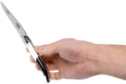 Forge De Laguiole Airbus A350 1211 INAIRBUS Couteau Laguiole -Optimal Couteaux Magasin LA1211INAIRBUS 07 forge de laguiole