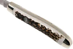 Robert Klaas US Trapper 95mm Real Stag 412-1-251-TRS Couteau De Poche -Optimal Couteaux Magasin RS412 1 251 TRS 06 robert klaas rs412 1 251 trs 06