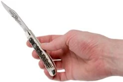 Robert Klaas US Trapper 95mm Real Stag 412-1-251-TRS Couteau De Poche -Optimal Couteaux Magasin RS412 1 251 TRS 07 robert klaas rs412 1 251 trs 07